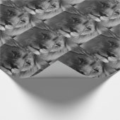 Zwart-witleeuw Cadeaupapier (Hoek)