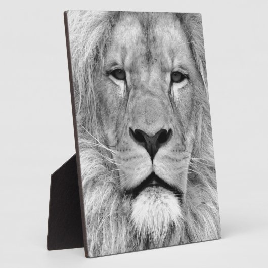Zwart-witleeuw Fotoplaat (Zijkant)