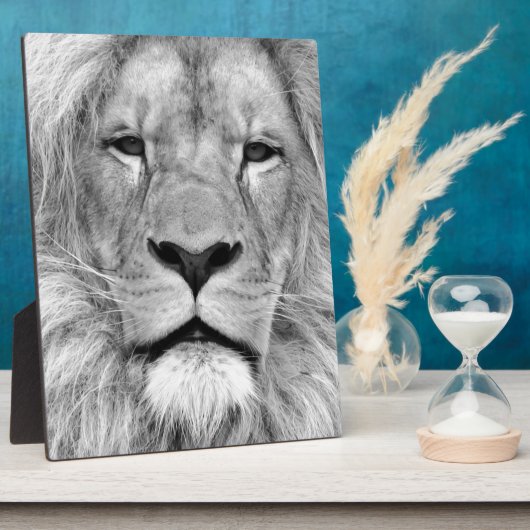 Zwart-witleeuw Fotoplaat (Zijkant)