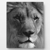 Zwart-witleeuw Fotoplaat (Voorkant)