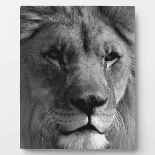 Zwart-witleeuw Fotoplaat (Voorkant)