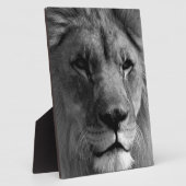 Zwart-witleeuw Fotoplaat (Zijkant)