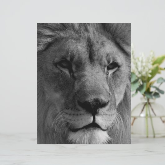 Zwart-witleeuw Gepersonaliseerd Briefhoofd (Staand voorkant)