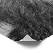 Zwart-witleeuw Poster (Hoek)