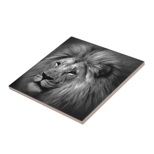 Zwart-witleeuw Tegeltje (Zijkant)