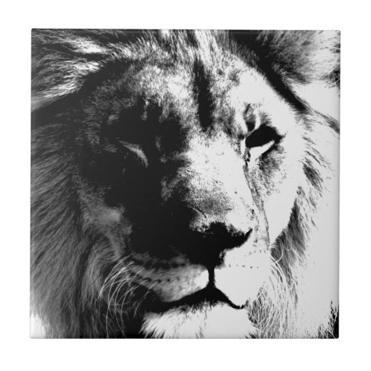 Zwart-witleeuw Tegeltje (Voorkant)