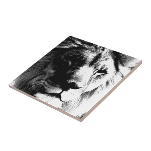 Zwart-witleeuw Tegeltje (Zijkant)