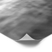 Zwart-witleeuw - Wilde dierfotografie Poster (Hoek)