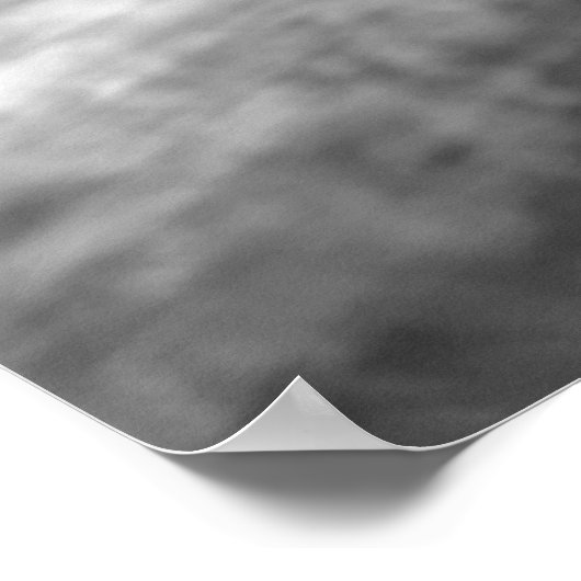 Zwart-witleeuw - Wilde dierfotografie Poster (Hoek)