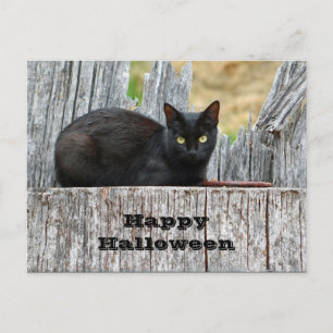 zwart-witlog foto Halloween Briefkaart