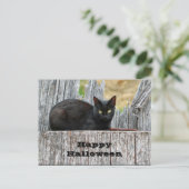  zwart-witlog foto Halloween Briefkaart (Staand voorkant)