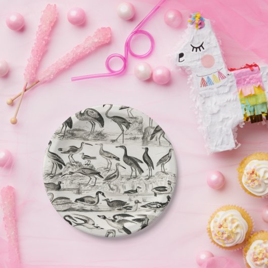 Zwart-witornithologie Collectie Papieren Bordje (Feest)