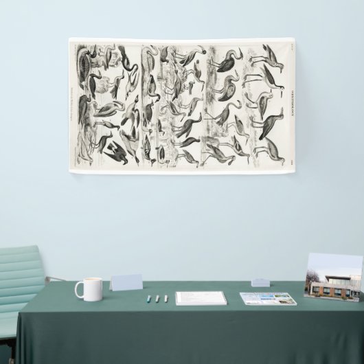 Zwart-witornithologie Collectie Spandoek (Beurs)