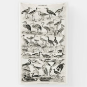 Zwart-witornithologie Collectie Spandoek (Verticaal)