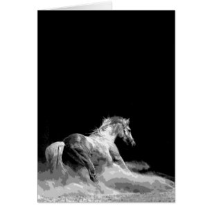 Zwart-witpaard in actie