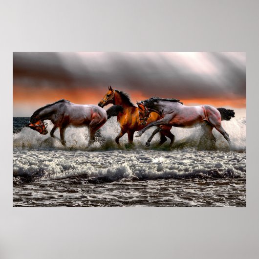 Zwart witpaard Monochrome Afbeelding Canvas Poster (Voorkant)