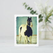 Zwart-witpinto Briefkaart (Staand voorkant)