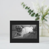 Zwart-witpug Briefkaart (Staand voorkant)