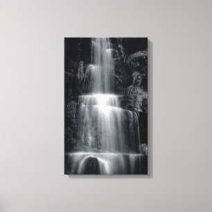 Zwart-witschilderwerk Canvas Afdruk