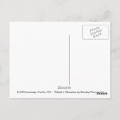 Zwart-witsneeuwval, Conifer, CO Briefkaart (Achterkant)