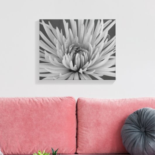 Zwart-witspin Chrysanthemum Flower Canvas Afdruk (Insitu (Woonkamer))