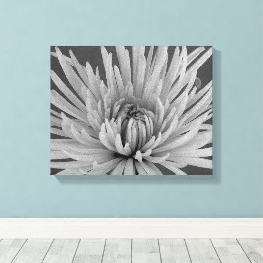 Zwart-witspin Chrysanthemum Flower Canvas Afdruk (Insitu (Houten vloer))