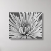 Zwart-witspin Chrysanthemum Flower Canvas Afdruk (Voorkant)