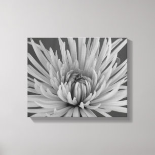 Zwart-witspin Chrysanthemum Flower Canvas Afdruk
