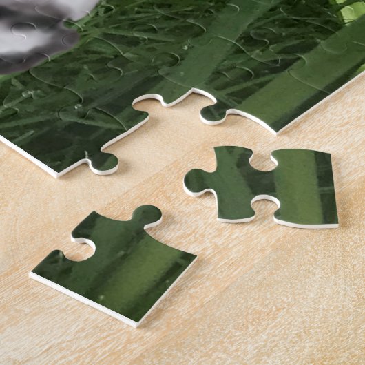 Zwart-witspinger-spaniel tegen diaffodils legpuzzel (Zijkant)