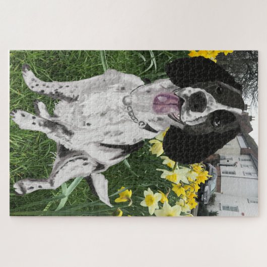 Zwart-witspinger-spaniel tegen diaffodils legpuzzel (Horizontaal)