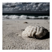 Zwart-witstrand Poster (Voorkant)