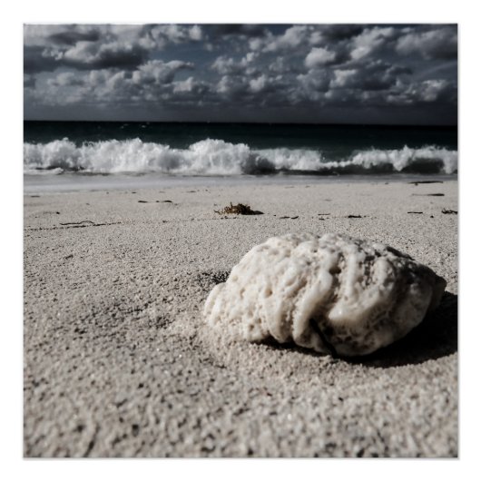 Zwart-witstrand Poster (Voorkant)