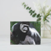 Zwart-witte aap Briefkaart (Staand voorkant)