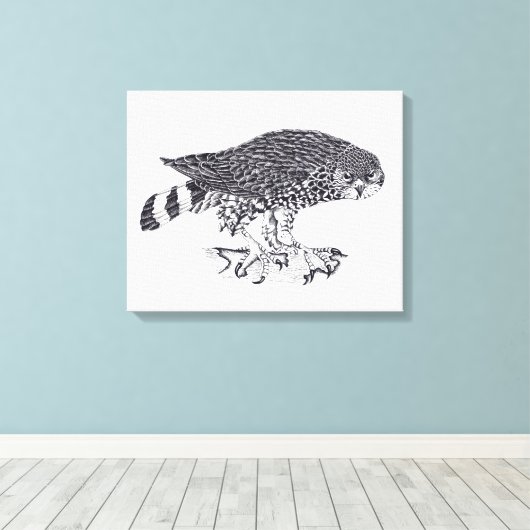 Zwart-witte afbeelding van Sparrow Hawk Canvas Afdruk (Insitu (Houten vloer))