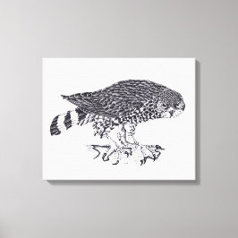 Zwart-witte afbeelding van Sparrow Hawk Canvas Afdruk
