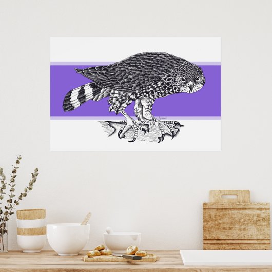 Zwart-witte afbeelding van Sparrow Hawk Poster (Keuken)
