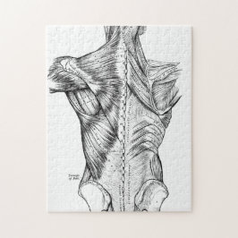 Zwart-witte anatomie Art Rugspieren (1890) Legpuzzel