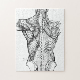 Zwart-witte anatomie Art Rugspieren (1890) Legpuzzel