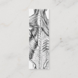 Zwart-witte anatomie Art Rugspieren (1890) Mini Visitekaartje