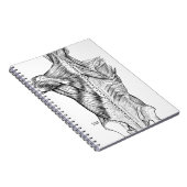 Zwart-witte anatomie Art Rugspieren (1890) Notitieboek (Rechterzijde)