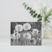 Zwart-witte andelions briefkaart (Staand voorkant)