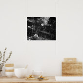 Zwart-witte andelions in de Bossen 16x20 Poster (Keuken)