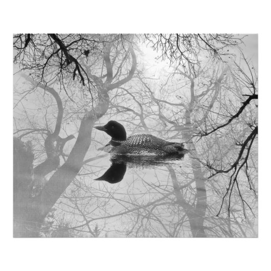 Zwart-witte ballon op een meerdruk foto afdruk (Voorkant)