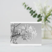 Zwart & Witte Bloemen Briefkaart (Staand voorkant)
