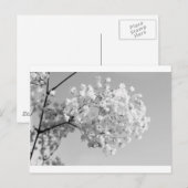 Zwart & Witte Bloemen Briefkaart (Voorkant / Achterkant)