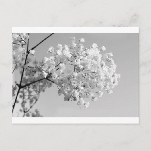Zwart & Witte Bloemen Briefkaart (Voorkant)