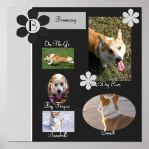 Zwart-witte bloemen Schroot Book Page Poster