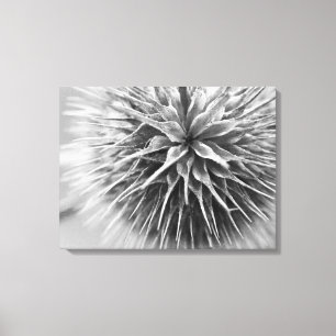 Zwart-witte bloemenfotografie canvas afdruk