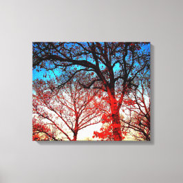 Zwart-witte bomen in Winter Foto Canvas Afdruk