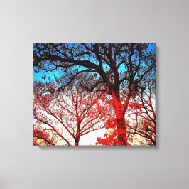 Zwart-witte bomen in Winter Foto Canvas Afdruk